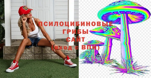 гашик Алексеевка