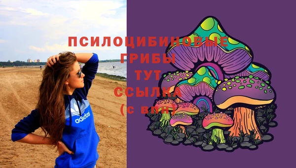 гидропоника Наволоки
